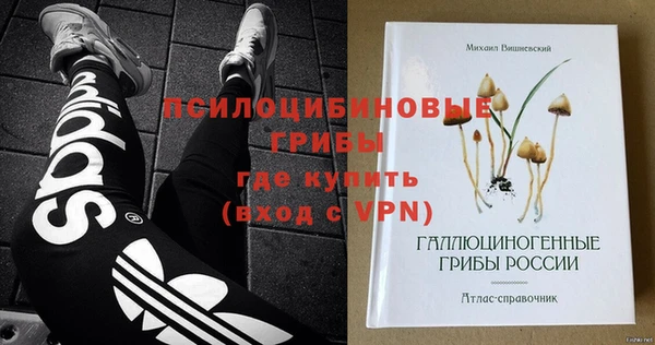 первитин Надым