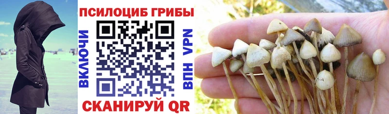 Галлюциногенные грибы ЛСД Сысерть